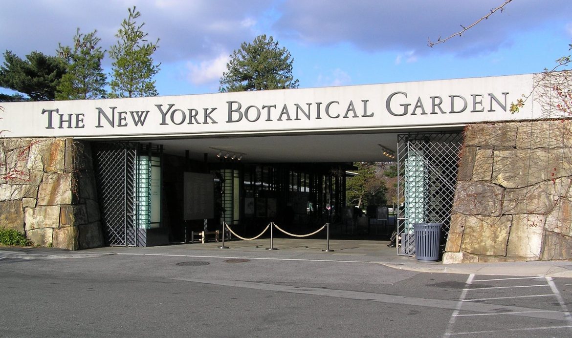 A visit to the New York Botanical Garden!