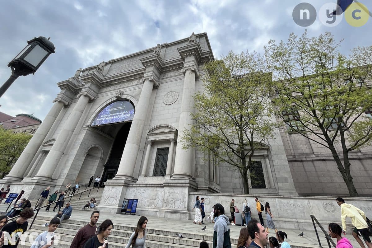 American Museum of Natural History, New York