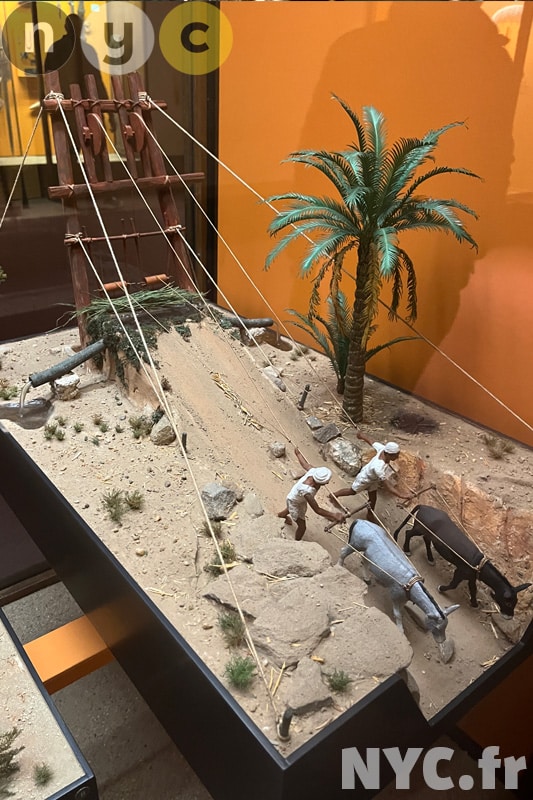 American Museum of Natural History, New York