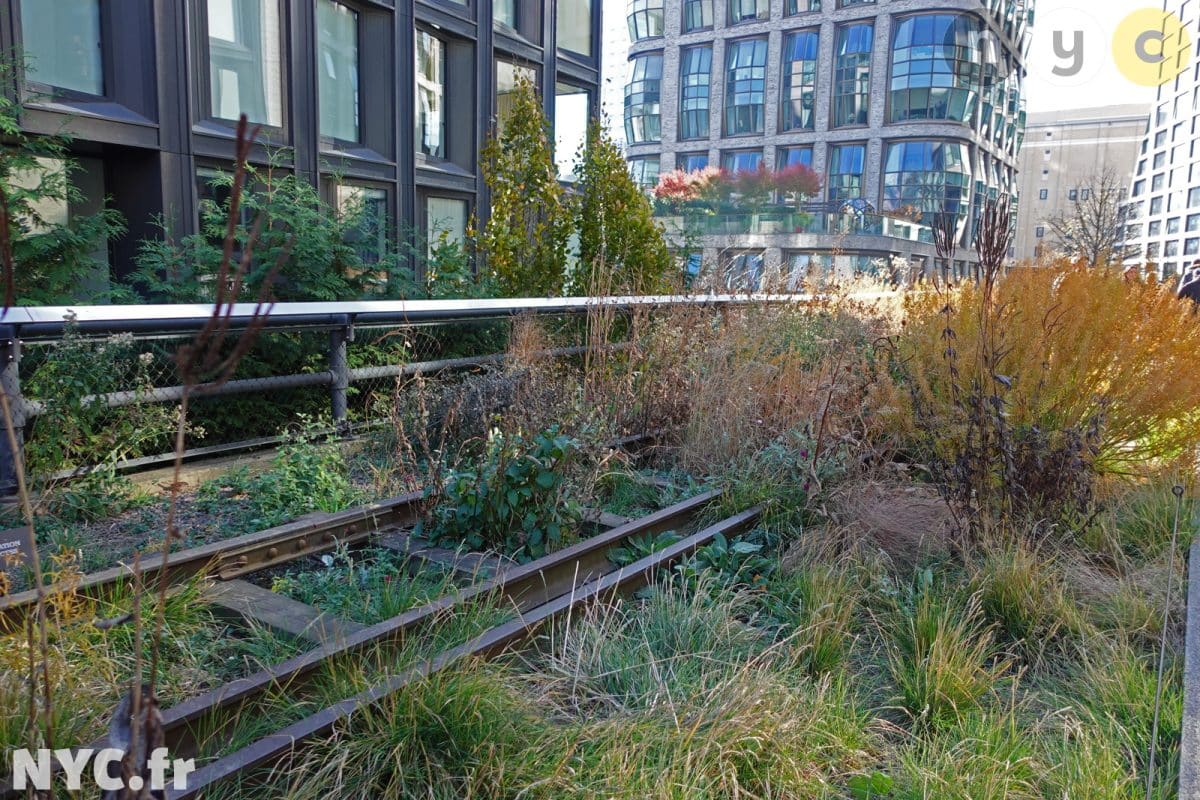 Manutenzione della High Line da parte dell'associazione