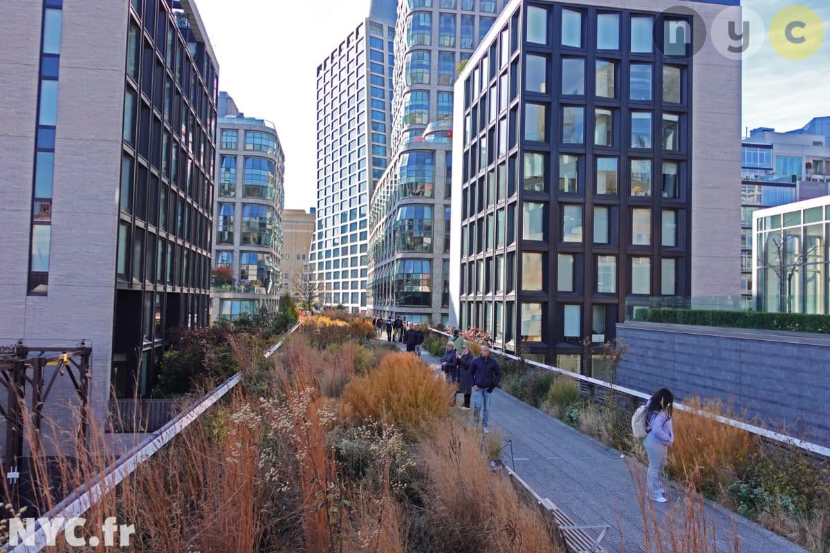 Sezione centrale della High Line