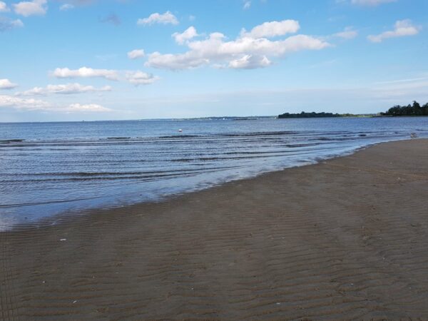 Orchad Beach Bronx