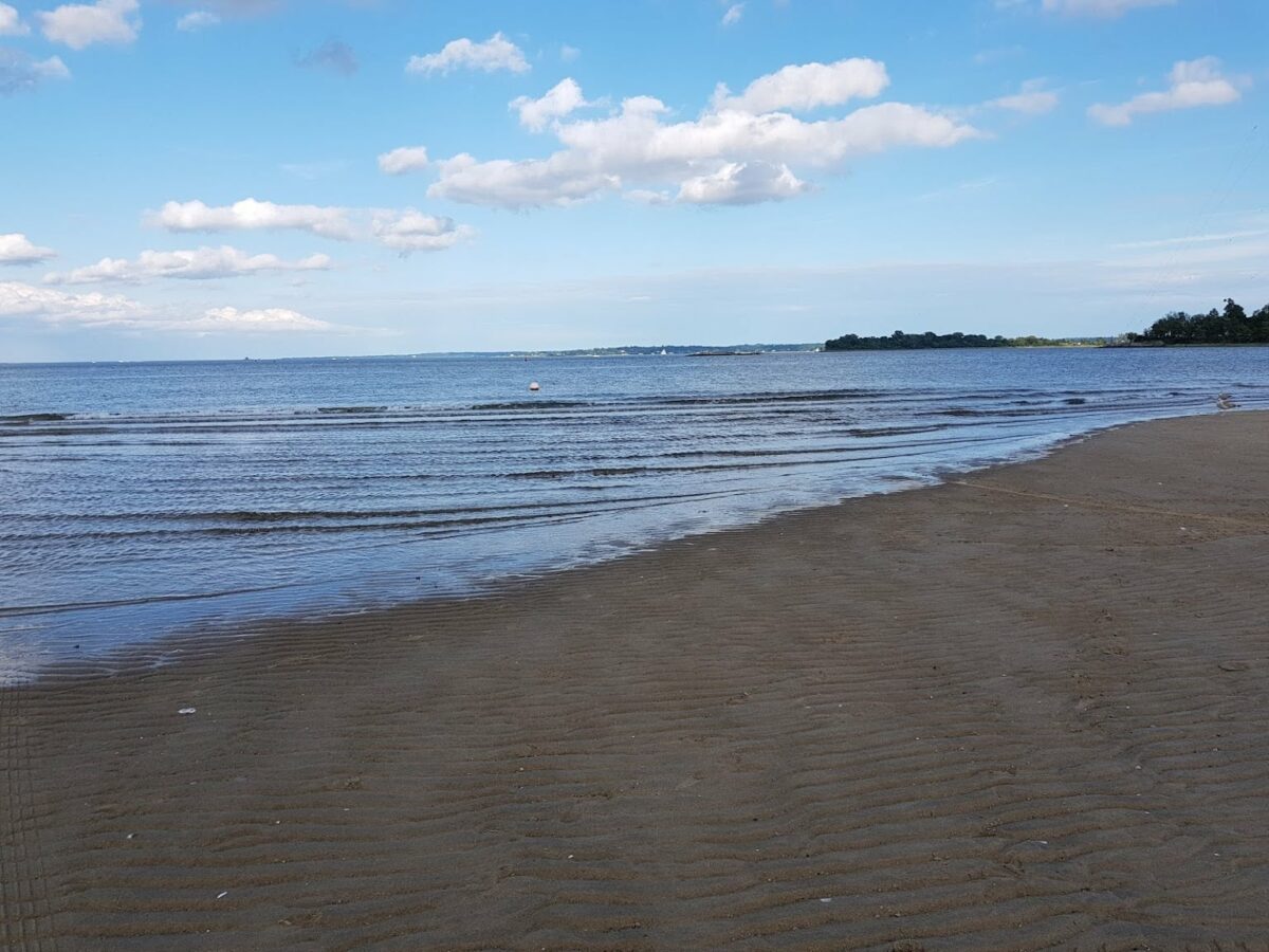 Orchad Beach Bronx
