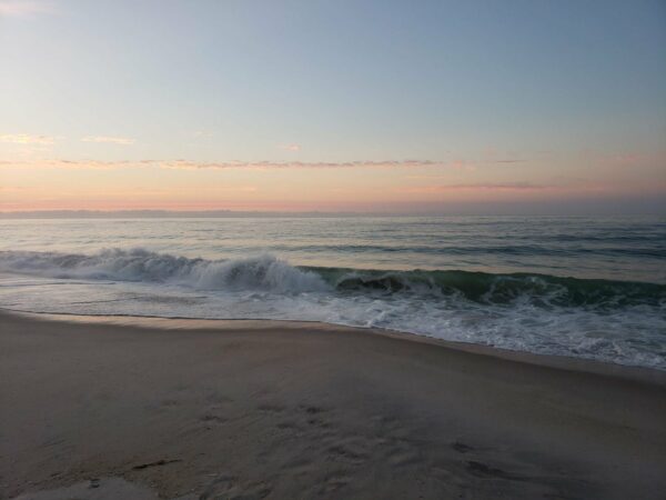 robert moses park beach