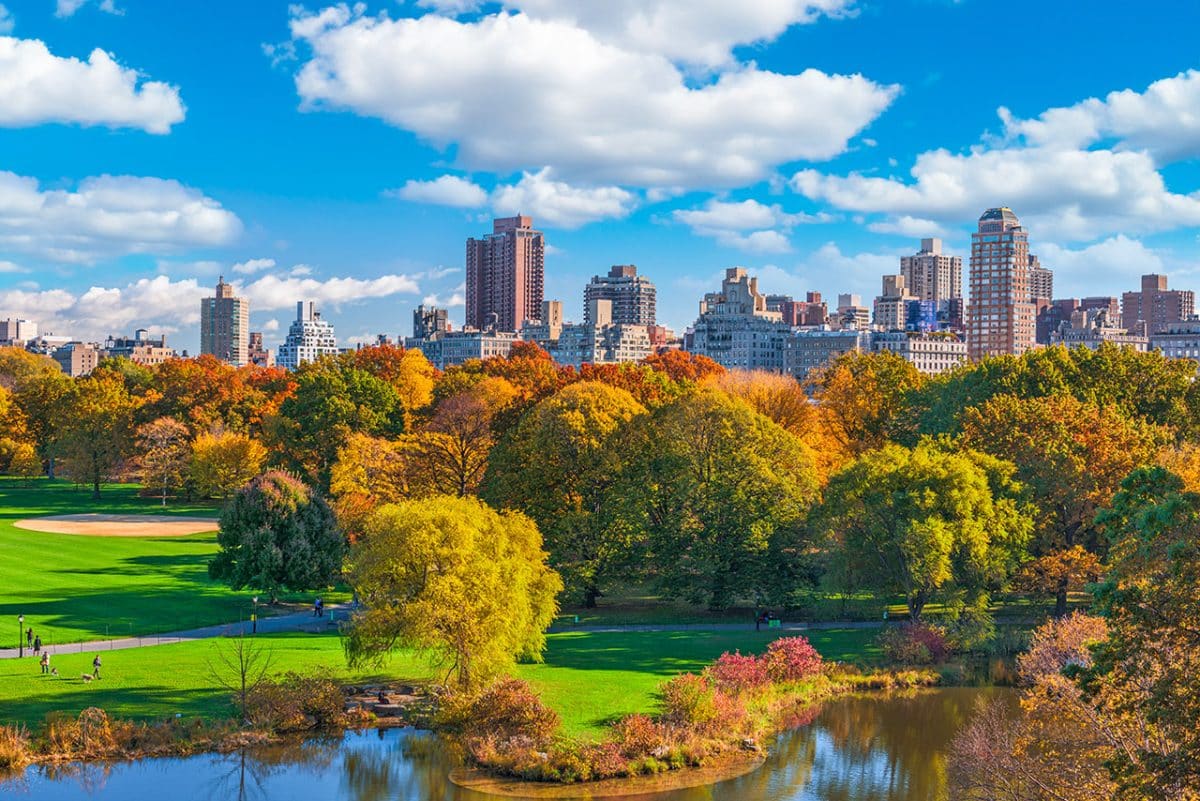 Central Park New york