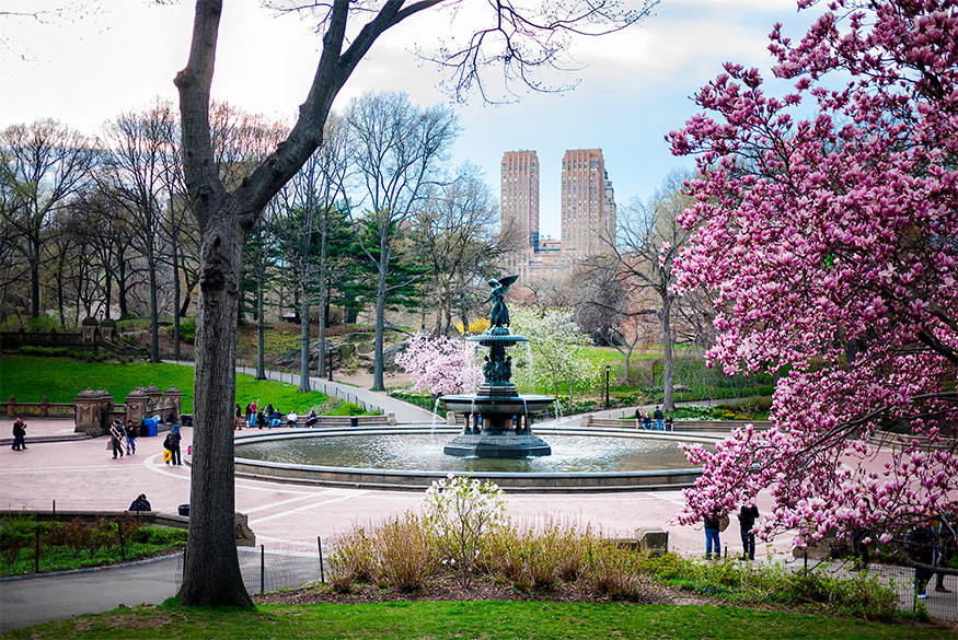 Central Park Nueva York City barrio