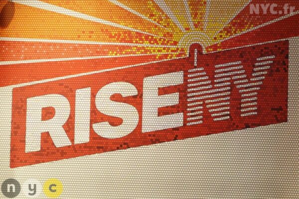 Rise NY
