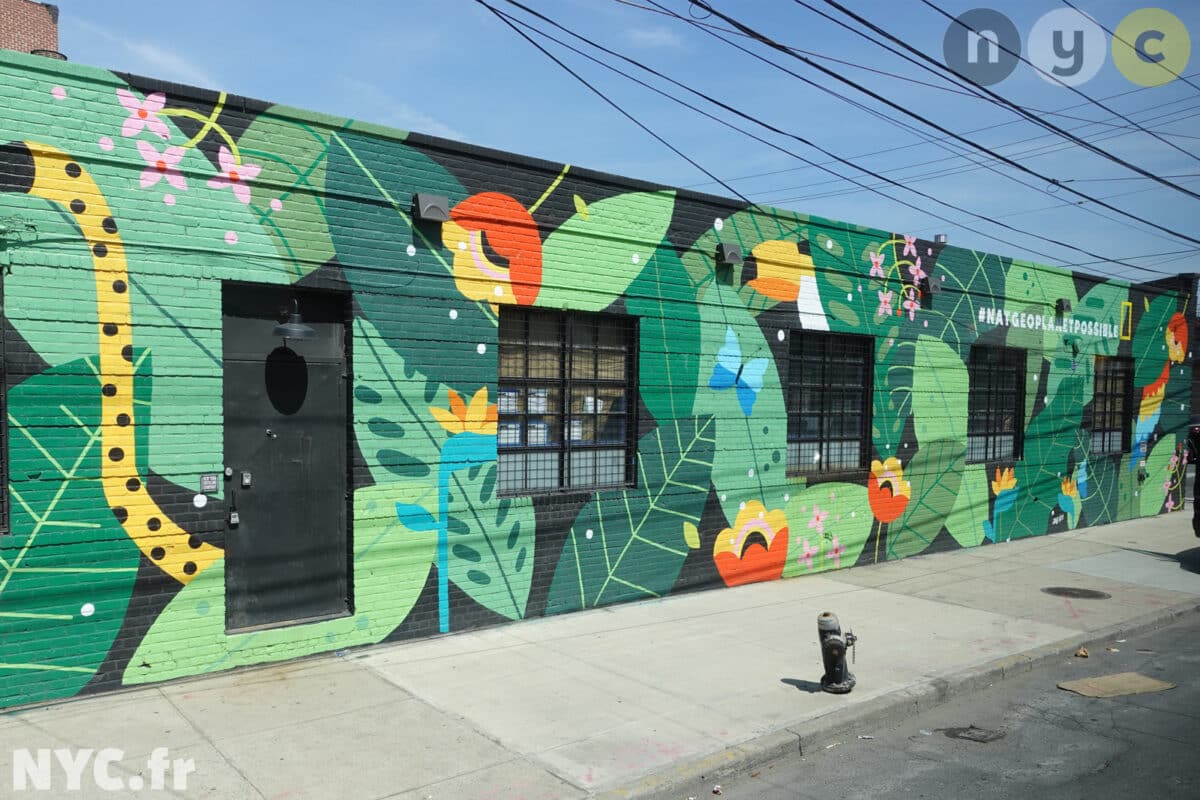 Johnson Av jungle street art
Bairro de Bushwick