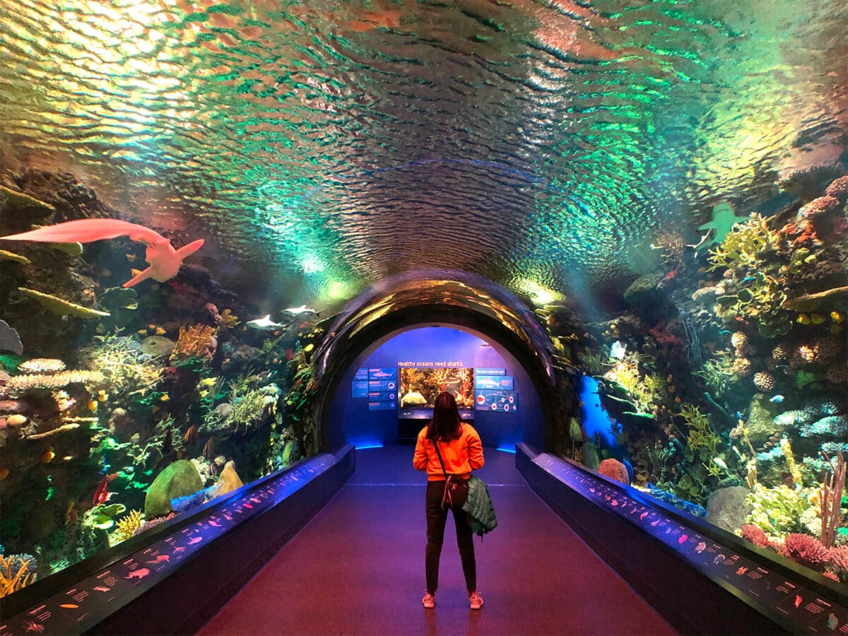new york aquarium