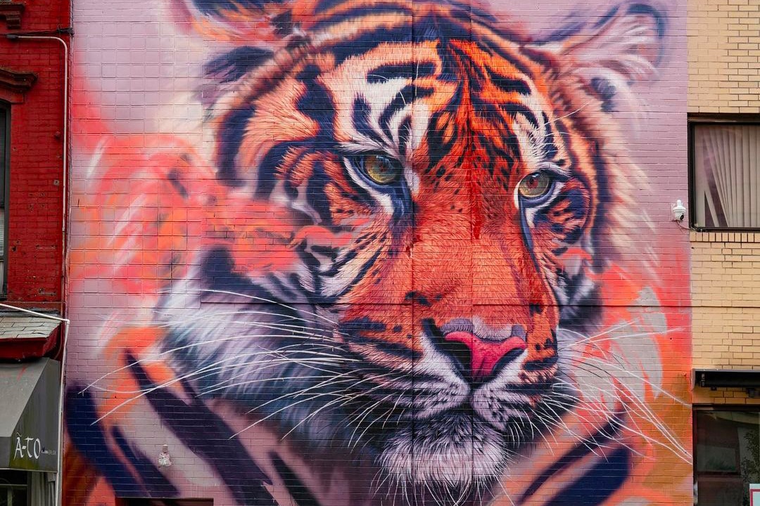 Beyond Boundaries of Sonny Behan, street art, Little Italy, Manhattan