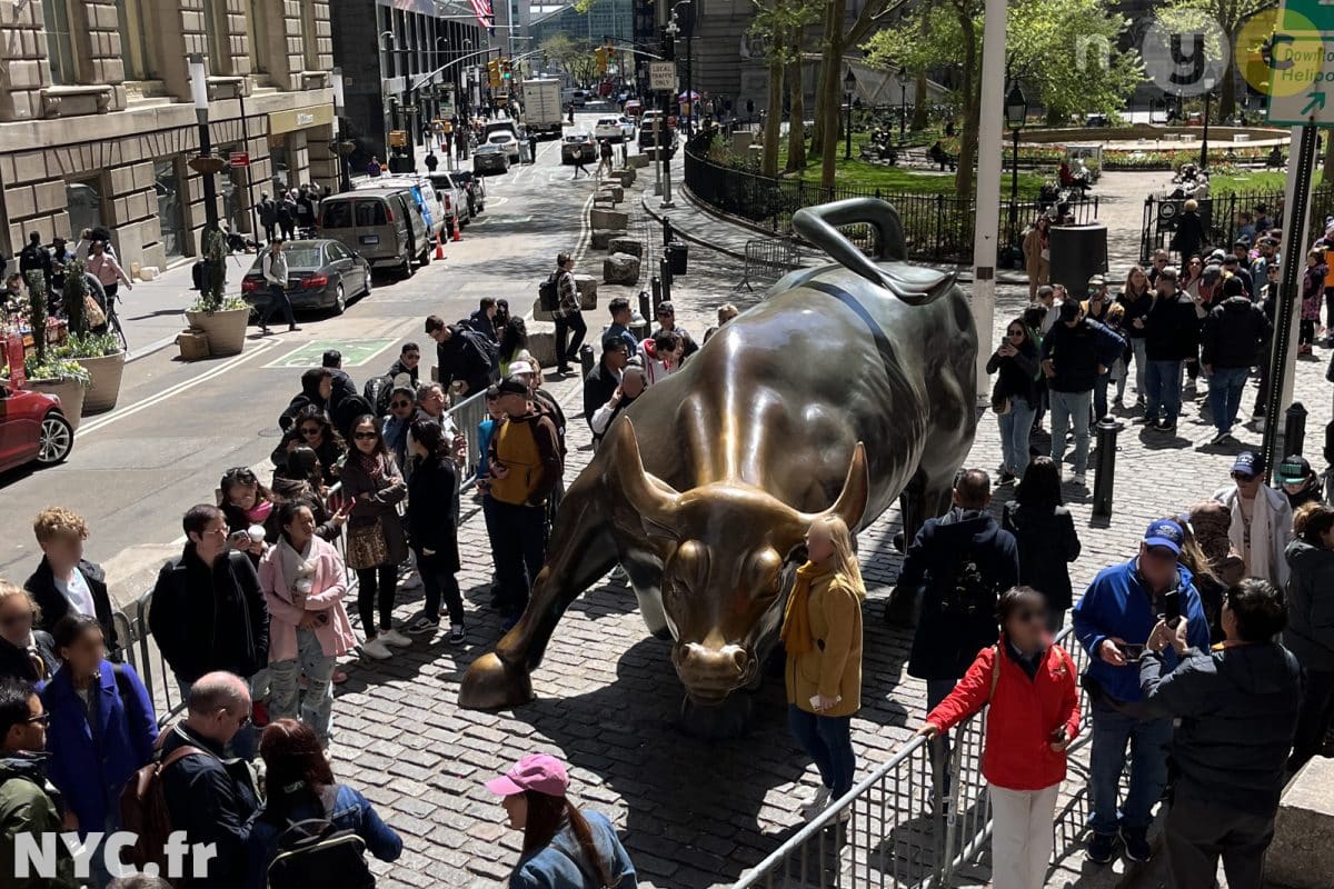 Charging Bull
