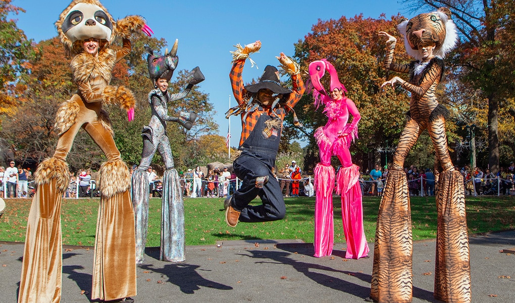 Boo Zoo Bronx Halloween