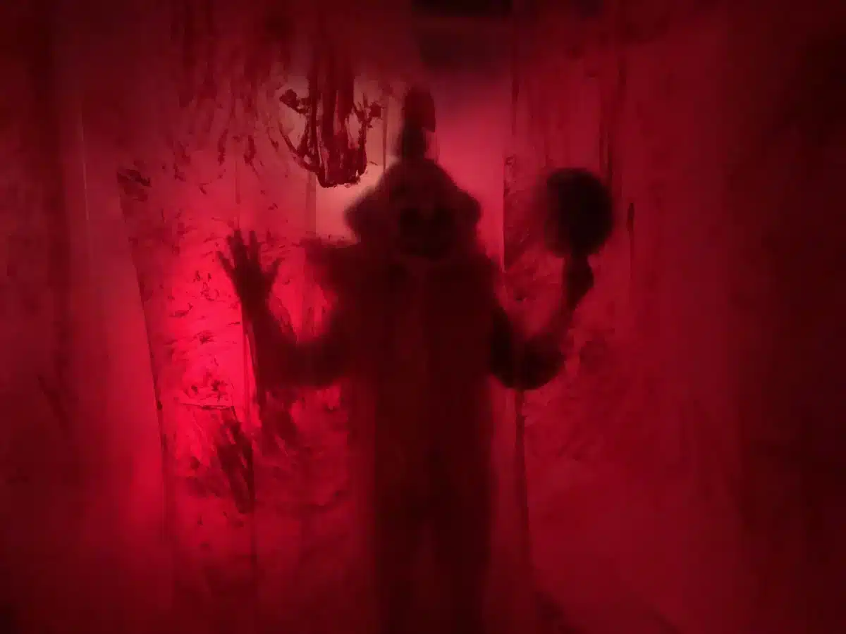 Payaso Ridgewood Asilo Nueva York