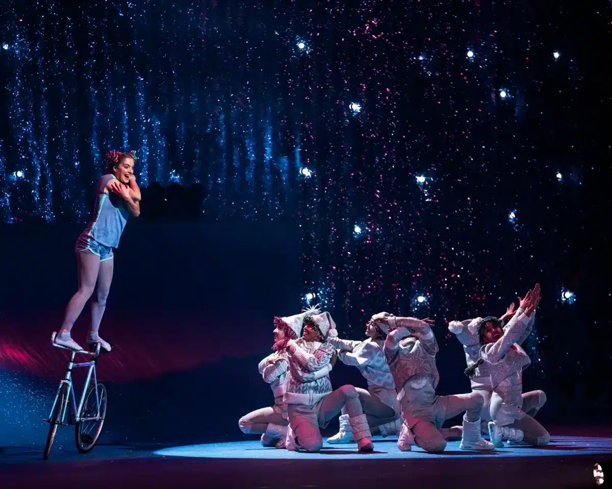 cirque du soleil show new york